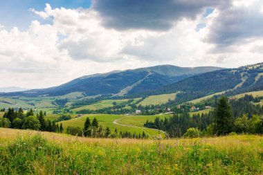 Yazın dağlık kırsal alan. Çimenli çayırın yanındaki ağaçlar. Podobovets Vadisi 'nin kırsal manzarası. Transcarpathia, Ukrayna 'da sürdürülebilir yaşam. Geniş açık manzara