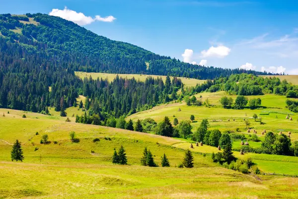 Yazın dağlık kırsal alan. Çimenli çayırın yanındaki ağaçlar. Podobovets Vadisi 'nin kırsal manzarası. Transcarpathia, Ukrayna 'da sürdürülebilir yaşam. köylü mahallesi