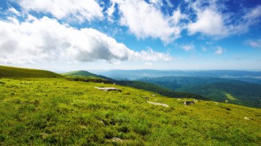 Karpat Dağları 'nın yeşil çayırları. Alp manzarası, bulutlu mavi gökyüzünün altındaki yemyeşil çimlerin arasında taşlarla dolu. Ukrayna 'da yaz tatili