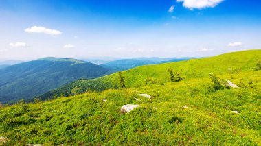 Polonyna pürüzsüz alp manzarası. Dağlık Transcarpathia manzarası, yazın Ukrayna. Güneşli bir öğleden sonra çimenli tepelerde taşlar