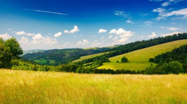 Yazın yeşil arazili kırsal alan. Karpatya 'nın Ukrayna sıradağlarındaki otlak çayır manzaralı panoramik alp manzarası. Ormanlı yuvarlanan tepeler. güneşli hava