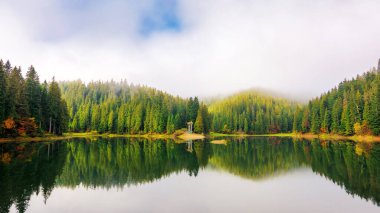 Karpat Dağları 'ndaki sabah manzarası. Synevyr Ulusal Parkı 'nın Alp Gölü, Ukrayna. Sisli bir hava. Suya yansıyan kozalaklı orman. panoramik görünüm