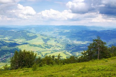 Yazın dağ manzarası. Yamaçtaki kayın ağaçları. Hava bulutlu. Uzaktan görülen kırsal vadi. Ukrayna 'nın Karpat Dağları' ndaki kırsal alan