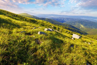 Yazın Ukrayna 'nın Karpat Dağları manzarası. Alp manzarası, çimenli tepeler, güneşli bir sabahta çayırlar. Uzakta Perechyn Bölgesi Vadisi. Transcarpathia 'nın popüler seyahat hedefi 