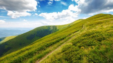 Stoj Zirvesi olan Karpat Dağları manzarası. Borzhava Tepesi 'nin alp manzarasında yokuş yukarı giden patika. Güneşli bir yaz gününde çimenli yamaçlar. Transcarpathia ve Ukrayna 'nın popüler seyahat noktası