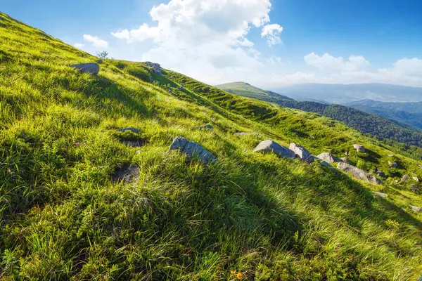 stock image alpine hills of carpathians. scenery with stones on the green grass beneath a blue sky with clouds. summer vacations in ukrainian mountains