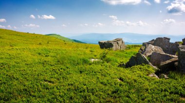Karpatların dağlık çayırları. Mavi gökyüzünün altında bulutlu yeşil çimenli manzara. Ukrayna dağlarında yaz tatili