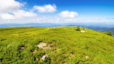 Karpatya dağının dağlık alp çayırları. Güneşli bir hava. Yazın dağlık Ukrayna manzarası. Pürüzsüz dağdan güzel bir manzara. Runa olarak da bilinir. Gökyüzünde kabarık bulutlar