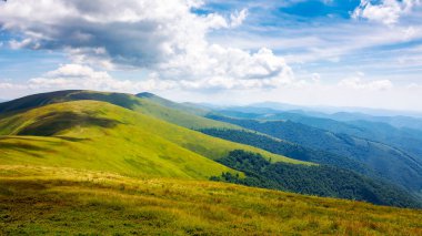 Yazın Ukrayna dağlarının hareketli manzarası. Güneşli bir günde Karpat Dağları 'nın Alp manzarası. Noktalı ışıkta Borzhava tepesi. Mavi gökyüzünün altındaki çimenli çayırlar manzaralı bulutlu