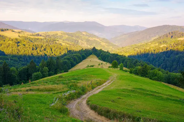 Tepedeki kırsal çayırlarda patika. Yazın Karpatlar 'ın dağ manzarası. Mizhhirya kasabasının uzak vadisinde, Borzhava bayırının eteklerinde, sabah ışığında. güneşli hava