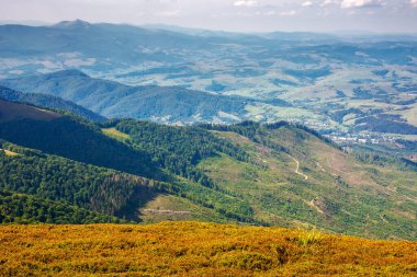 Transcarpathia 'nın dağlık kırsal manzarası yukarıdan görünüyor. Uzakta kırsal vadi var. Yazın sonlarında güneşli bir hava. Ukrayna 'nın Karpatlar Dağı