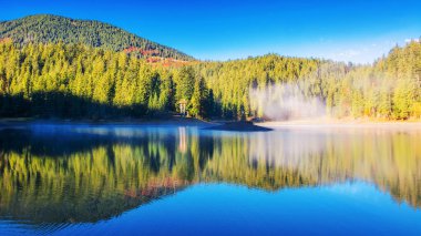Güneşli bir sabahta Karpat Dağları 'nda Synevyr Gölü. Sakin suya yansıyan kozalaklı orman. Sonbahar mevsiminde Ukrayna 'nın güzel manzarası