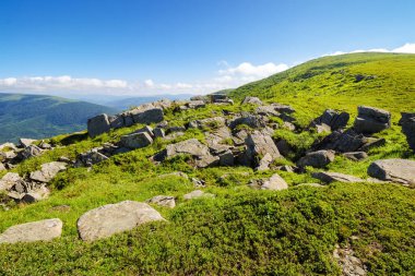 Yazın Transcarpathia alp manzarası. Ukrayna 'nın yeşil dağları. Yamaçtaki taşlar. Güneşli bir sabah. Karpat Dağları manzarası