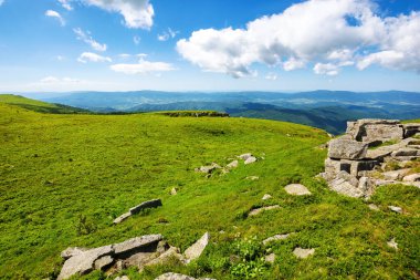 Yazın Transcarpathia alp manzarası. Ukrayna 'nın yeşil dağları. Pürüzsüz dağın manzarası. Güneşli bir gün. Karpat Dağları manzarası