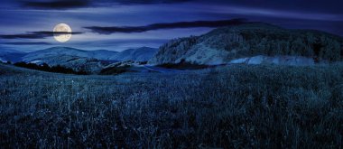 Asfalt yol geceleri yeşil ormanın yakınındaki dağlardan ve geçitlerden geçiyor. Dolunay ışığında harika bir kır manzarası