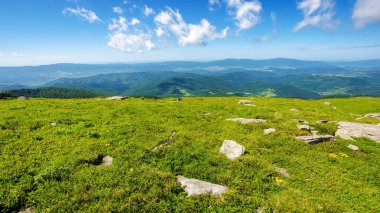 Yazın pürüzsüz bir dağ çayırı. Güneşli bir hava. Ukrayna 'nın Karpatlar Dağı. tatil sezonu