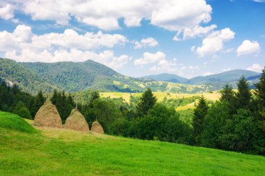 Ormanın yakınındaki çimenli tepede saman yığını. Yazın Ukrayna 'nın dağlık kırsal manzarası. Gökyüzünde kabarık bulutlarla güneşli bir hava. yeşil turizm konsepti