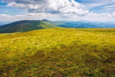 Yazın güneşli bir günde çimenli bir çayır. Ukrayna 'nın Karpat Dağları manzarası. Gökyüzündeki bulutlar. Alp manzarası