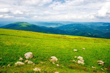 Karpat Dağları 'nın yaz mevsiminde alp manzarası. Çimenli çayırlarda iz var. Uzana Ulusal Parkı 'nın uzak vadisi Ukrayna' nın çarpıcı manzarası. güneşli hava