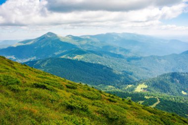Yazın kornohora tepesi vadisi olan yaz manzarası. Uzak Hoverla zirvesi noktalı ışıkla kaplı Carpathian dağı. Ukrayna 'da tatiller