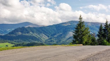 Ukrayna 'nın Karpat Dağları' ndaki eski kır yolu. Sonbaharın başlarında manzara. Akşam ışığında yol kenarındaki ağaçlar. Mavi gökyüzü, uzak tepenin üstünde kabarık bulutlarla