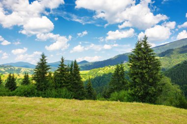 Öğleden sonra ışığında dağ çayırında. Çimenli tepenin arkasındaki ormanın arkasındaki vadiyle kırsal bir yaz manzarası. Parlak mavi gökyüzünde kabarık bulutlar. Karpatlar açık hava maceraları