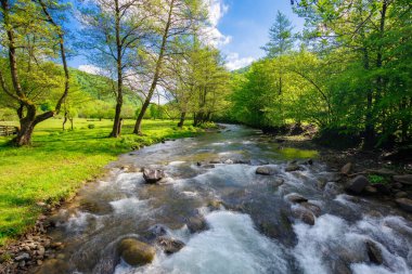 Dağları, ormanı ve önünde bir nehri olan bir manzara. Baharın güzel manzarası