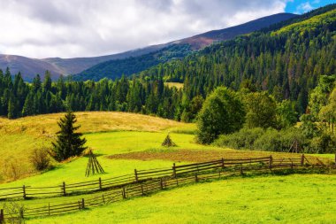 Sonbaharda karpatya kırsal arazisi. Güneşli bir günde Ukrayna 'nın güzel kırsal manzarası. Yeşil tarlalarda çitler tepelerden yuvarlanıyor.