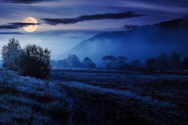 Ağaçların arasındaki sis dağlardaki çayırlarda açık gökyüzünün altında geceleri. Dolunay ışığında harika bir kır manzarası