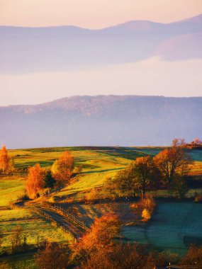 Sonbaharda Ukrayna 'nın Karpat Dağları manzarası. Çimenli tepelerdeki ağaçlar sonbahar renklerinde. Sabah ışığında kırsal bir manzara. Tarladan geçen yol boyunca tahta çitler.