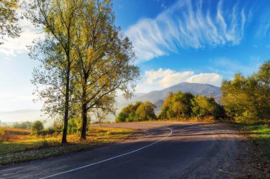 Sonbaharda dağda asfalt köy yolu. Sonbahar yapraklarıyla tepedeki orman. Güneşli bir hava. Ukrayna 'nın kırsal kesimlerine yolculuk. sisli sabah