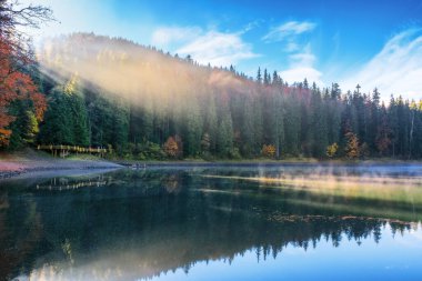Sabahın erken saatlerinde göl kenarındaki manzara. Sonbaharda Synevyr Ulusal Parkı 'nın sahil ve dağ tepelerindeki kozalaklı ormanları. Su yüzeyinde sis var.