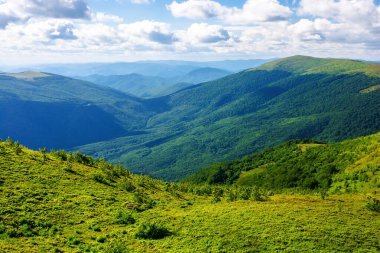 Akşam ışığında Karpat Alp Çayırları. Çimenli yamaçları, yuvarlanan tepeleri ve derin vadileri olan güzel dağ manzarası. Uzaktaki açık manzaraya çarpıcı bir manzara