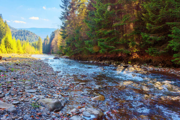 mountainous countryside scenery in the valley with shallow river. carpathinan nature landscape in fall season. rocky shore. bright sunny weather in autumn