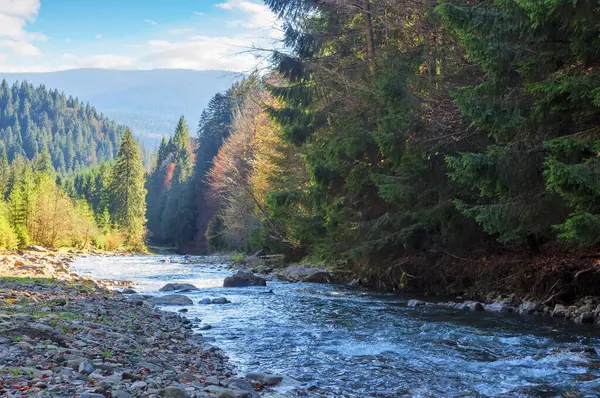 Vadideki sığ nehirli dağlık kırsal manzara. Sonbahar mevsiminde carpathinan doğa manzarası. Synevyr Ulusal Parkı. Sonbaharda sıcak güneşli hava