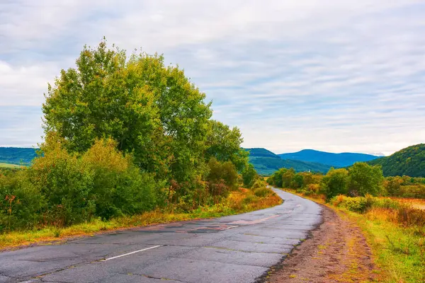 Boş asfalt dağ yolu, yaprak döken ormanın yanında, sabah vakti bulutlu gökyüzü.
