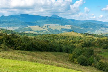 Ukrayna kırsalında. Güneşli bir öğleden sonra. Dağlarda sonbahar manzarası. Çimenli tarlalar ve eylülde ormanlık tepeler. Uzakta pikui zirvesi