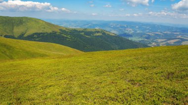 yuvarlanan çimenli tepeler. Güneşli bir yaz gününde Ukrayna 'nın karpatya manzarası. Borzhava sırtının yamaçlarında. Dağlık manzaralı uzak kırsal vadide güzel manzaralı