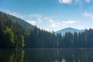 Sabahleyin Alp Gölü 'nün yanındaki manzara. Ukrayna 'da yaz tatili. Sahilde ve tepenin yakınında kozalaklı bir orman. Suya yansıyan manzara