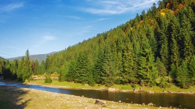 Dağ yamacının yakınındaki ormanın kıyısında taşları olan dağ nehri. sinnevyr Ulusal Parkı