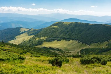 Kornohora Tepesi Vadisi 'ne bakın. Yazın aydınlık bir öğleden sonra Karpat Dağları manzarası. Parlak mavi gökyüzünün altındaki ormanlık tepeler ve çimenlik çayırlar. Ukrayna 'ya seyahat