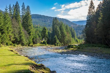 Dağları, ormanı ve önünde bir nehri olan bir manzara. Sonbaharda güzel bir manzara 