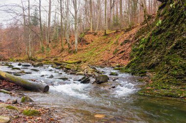 Dağları, ormanı ve önünde bir nehri olan bir manzara. Sonbaharda güzel bir manzara. Yerde yapraksız bir orman var. 