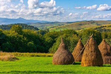 Sonbaharda çimenlikte saman yığını. Karpat Dağları 'ndaki kırsal alan. Sıcak güneşli öğleden sonra havası