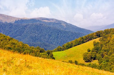 Tepede ormanı olan çimenli bir çayır. Sonbaharda güneşli bir günde Karpatlar 'ın dağ manzarası. Bulutlu bir gökyüzünün altındaki uzak sırt. Öğlen manzarası
