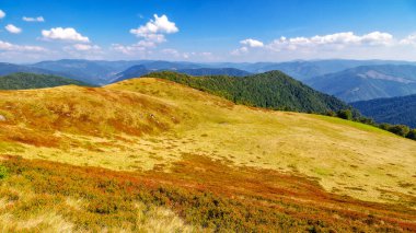 Tepede ormanı olan çimenli bir çayır. Sonbaharda güneşli bir günde Karpatlar 'ın dağ manzarası. Bulutlu bir gökyüzünün altındaki uzak sırt. Öğlen manzarası