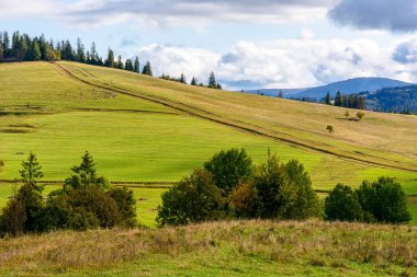 Dağlardaki kırsal manzara. Tepeye çıkan patika. Karpatların sonbahar manzarası. Sabah vakti çayırları ormanlık tepelerde yuvarlanıyor. Bulutlu bulutlu güneşli hava