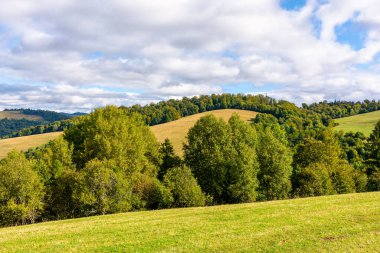 Dağlardaki kırsal manzara. Karpatların sonbahar manzarası. Sabah vakti çayırları ormanlık tepelerde yuvarlanıyor. Bulutlu bulutlu güneşli hava