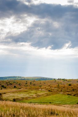 Ukrayna kırsalında. Bulutlu bir gün. Sonbahar manzarası. Çimen tarlaları ve yuvarlanan tepeler. Kırsal alan. Uzakta terk edilmiş bir üzüm bağı