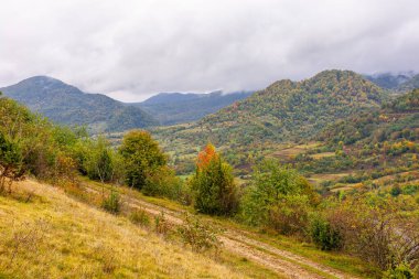Sonbahar mevsiminde Ukrayna 'nın dağlık kırsalında. Hava bulutlu. Yamaçtaki orman renkli yapraklarla kaplı. uzak Karpatya Vadisi